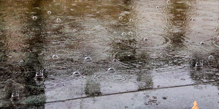 Asociatyvi nuotr. | Freepik