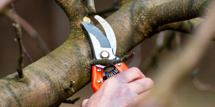 Asociatyvi nuotr. | Freepik