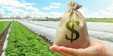 Ūkininkų pavasario sezonas: didžiausią nerimą kelia dešimtmetį nesikeičiančios supirkimo kainos