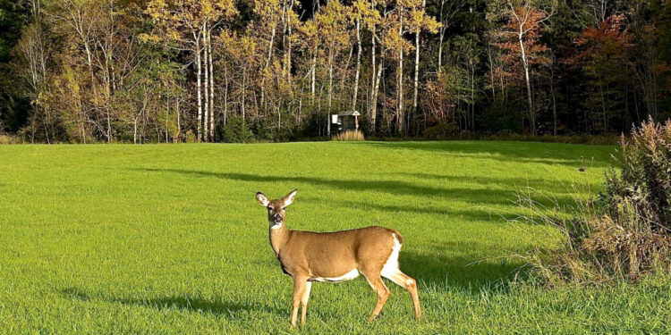 Asociatyvi nuotr. | Freepik