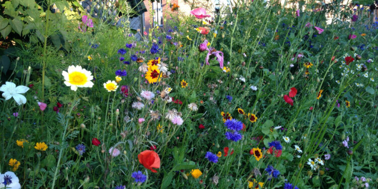 Asociatyvi nuotr. | Freepik