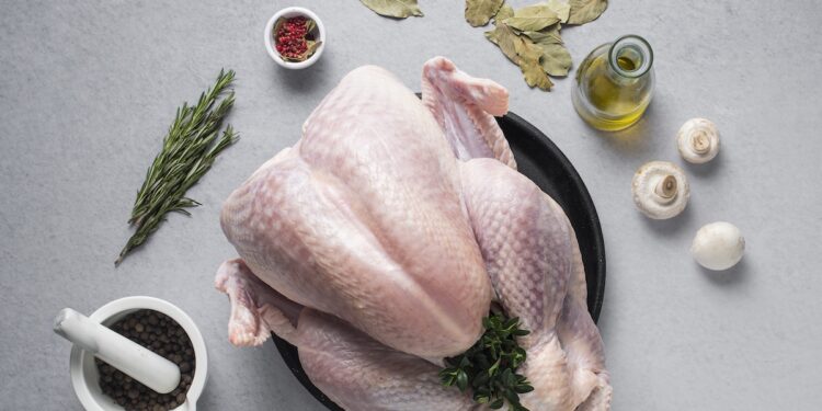 Baltuonių kalakutų ūkio nuotr.