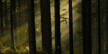 Garsus Ispanijos parfumeris atskleidė, kuo kvepia Lietuva