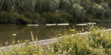 Šventosios pakrantės takas Anykščiuose gražėja: prasidėjo medinių dangų keitimas ir suoliukų atnaujinimas