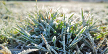 Sinoptikė: šią savaitę naktimis šalį kaustys šalnos