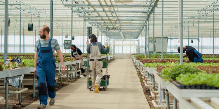 Darbininkai | Freepik