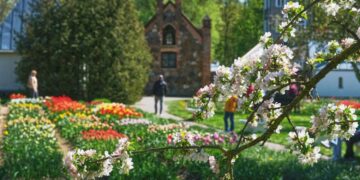 Žydint tulpėms Burbiškio dvare – Vidas Bareikis ir jo muzikinės „Žmogaus orkestro istorijos”