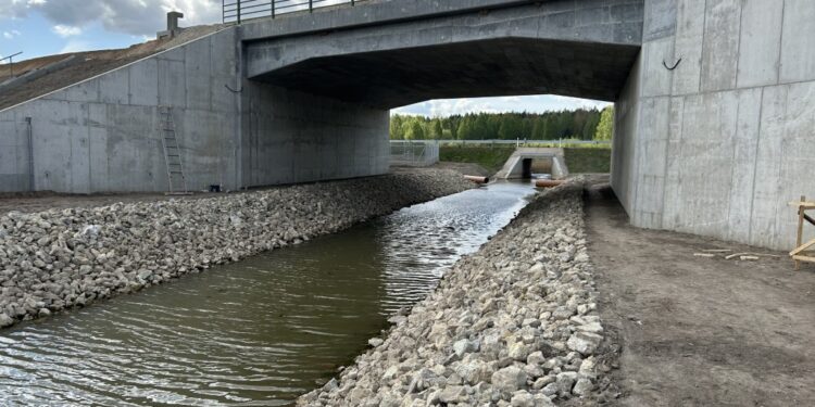 Mažų ir vidutinių gyvūnų pralaida