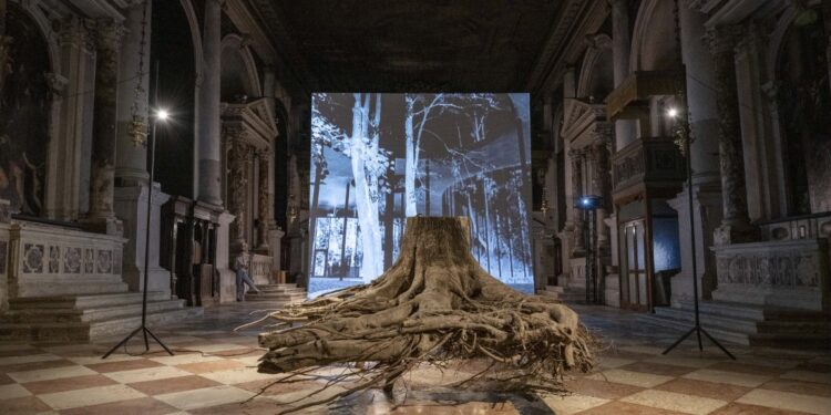 Nuotr. autorius Gvidas Kovera