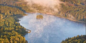 2025 m. maudyklų stebėsenos kalendorinis grafikas