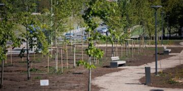 Jonaviečiai apsisprendė – naujasis parkas vadinsis Rimkų parku