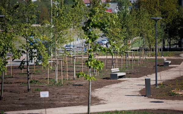 Rimkų parkas | A. Reipos nuotr.