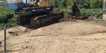 Likviduotas paukščių gripo židinys Kaišiadorių rajone – situacija toliau vertinama