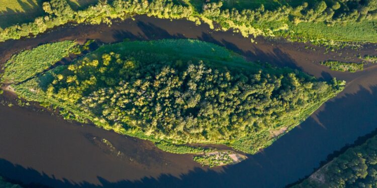 nuotr. E. Tamkevičius