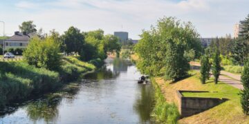 Pradėti Nevėžio upės vagos žolės pjovimo darbai