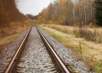 Ignalinos rajone traukinys mirtinai sužalojo vyrą