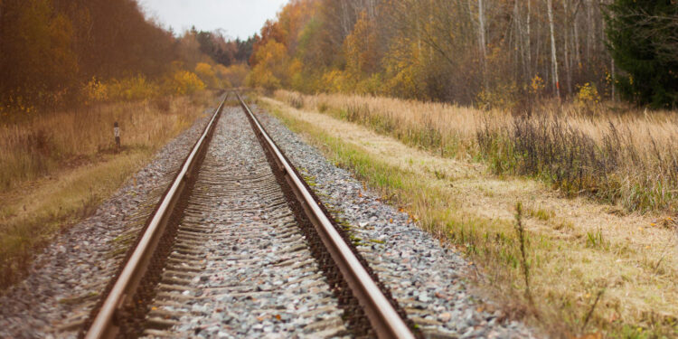 Asoc. nuotr. / freepik