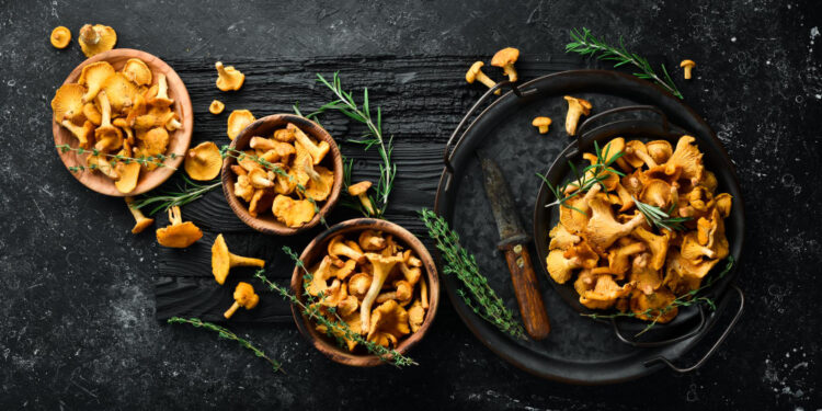 Voveraitės /freepik