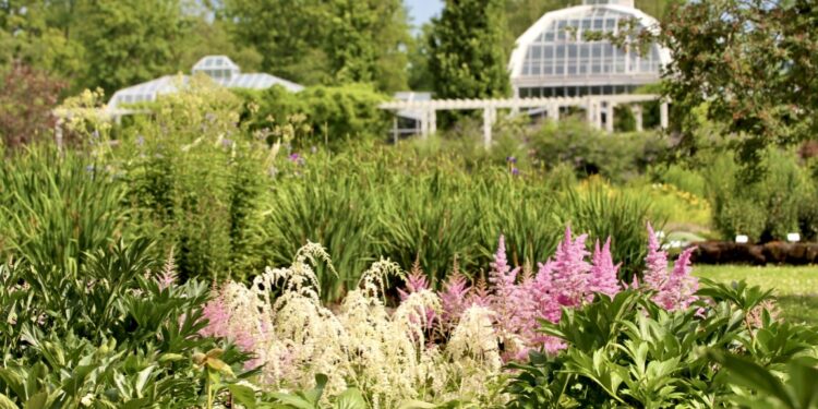 VDU Botanikos sodas nuotr.