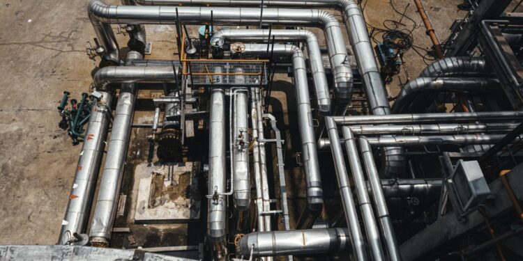 Asoc. nuotr, / freepik