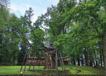 Stelmužės dvaro paslaptys