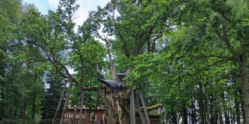 Stelmužės dvaro paslaptys