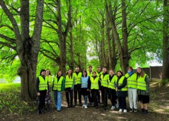 Medžių alėjos – ne tik grožiui