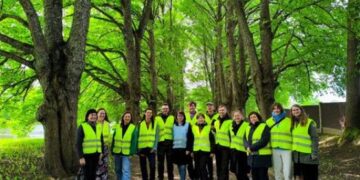 Medžių alėjos – ne tik grožiui