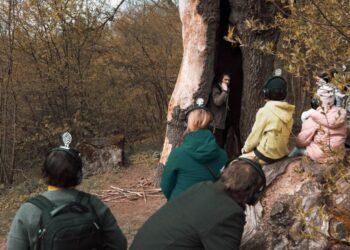 Interaktyvus spektaklis – žygis „Brūzgynų eilės“
