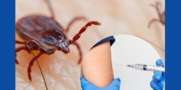 Kviečiame pasiskiepyti nuo erkinio encefalito