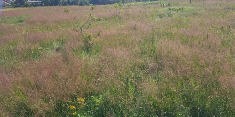 Švenčionių raj.sav.uotr.