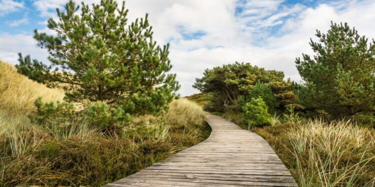 Pažintinis takas / freepik