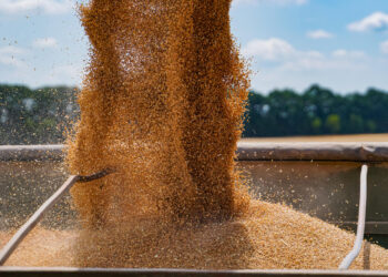 AB „Jonavos grūdai” solidarizuojasi su ūkininkais: taikys dideles nuolaidas