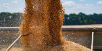 AB „Jonavos grūdai” solidarizuojasi su ūkininkais: taikys dideles nuolaidas