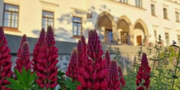 Rokiškio dvare – unikalūs eksponatai iš Vatikano apaštališkosios bibliotekos