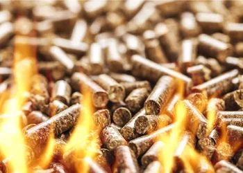 Medžio granulės – savybės, rūšys ir kaip išsirinkti tinkamiausias?