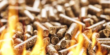 Medžio granulės – savybės, rūšys ir kaip išsirinkti tinkamiausias?