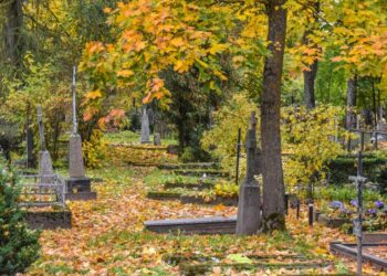 Panevėžyje toliau stebimi galimai neprižiūrimi kapai: bus perleisti kitiems