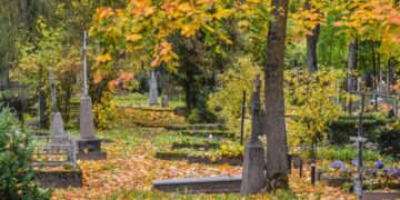 Panevėžyje toliau stebimi galimai neprižiūrimi kapai: bus perleisti kitiems