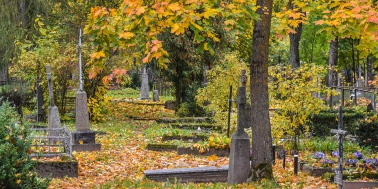 Panevėžio miesto sav. nuotr.