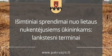 Išimtiniai sprendimai nuo lietaus nukentėjusiems ūkininkams