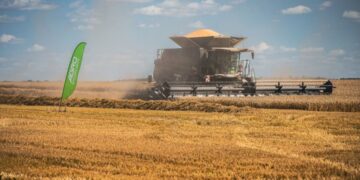 Žvirblonių žemės ūkio bendrovės derliaus rekordas užfiksuotas Lietuvos rekordų knygoje