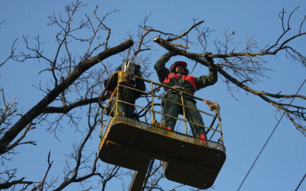Kėdainių raj.sav.nuotr.