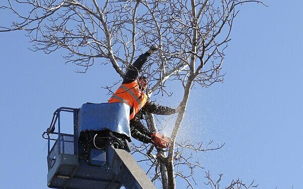Kėdainių raj.sav.nuotr.