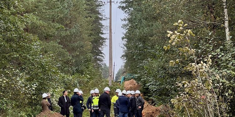 Tinklo modernizavimo darbai Utenos rajone | ESO nuotrauka