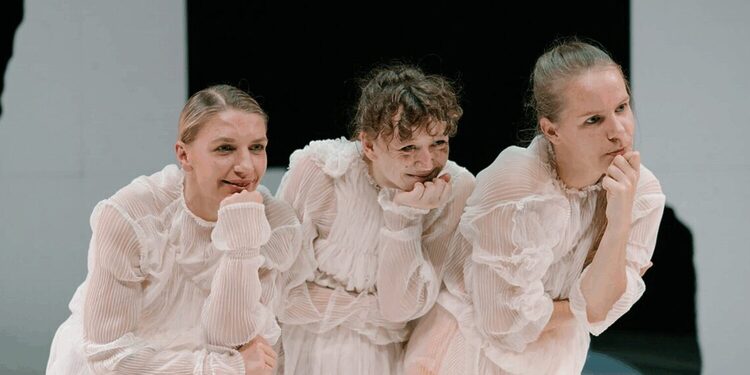 Kauno m. kamerio teatro  nuotr.