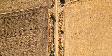 „Metų žemdirbio“ konkursas