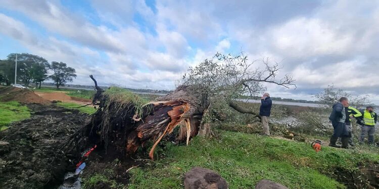 Zarasų raj.sav.nuotr.