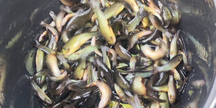 Ignalinos sav.raj.nuotr.