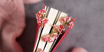 Verslumo programa moterims